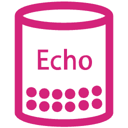 zhuangzhuang/echo-server